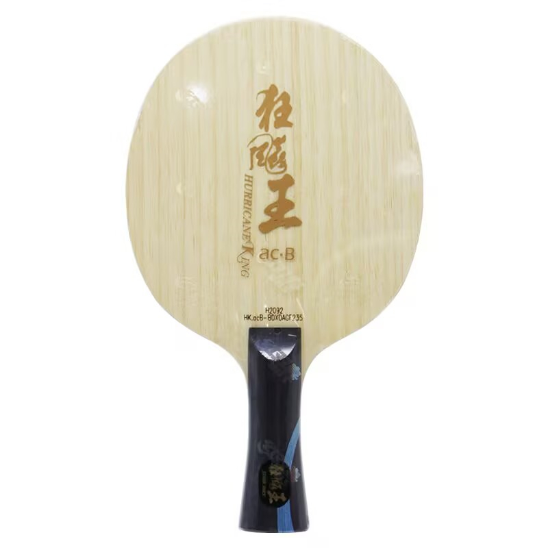 Hoja de tenis de mesa DHS Hurr - Desk Setup Tips reseña y precio