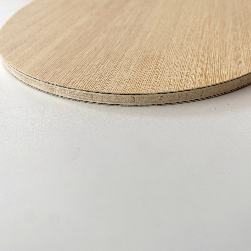 Raqueta de Tenis de Mesa Lemur - Desk Setup Tips reseña y precio